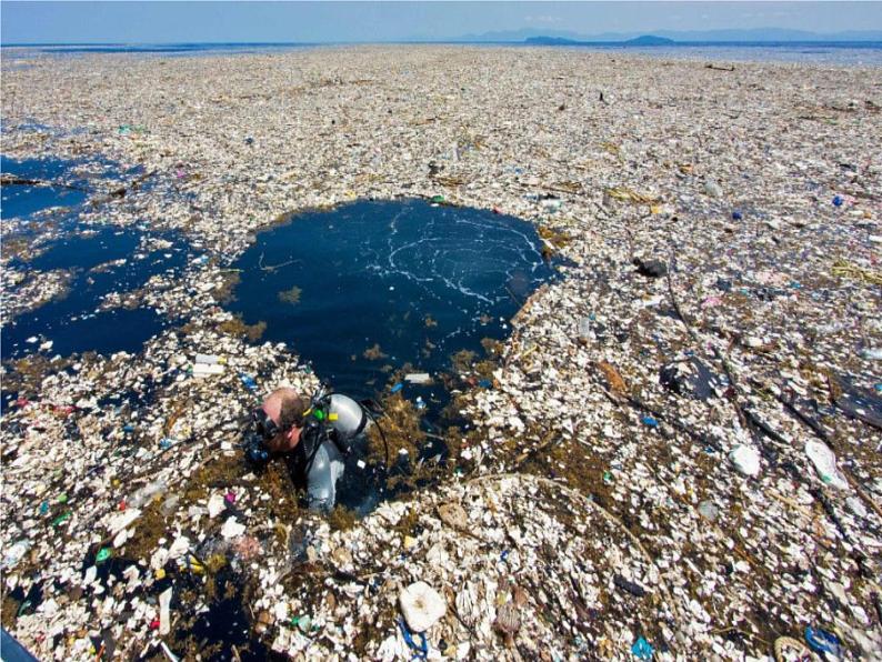 11.变废为宝有妙招  第1课时 课件+配套教案+视频素材06