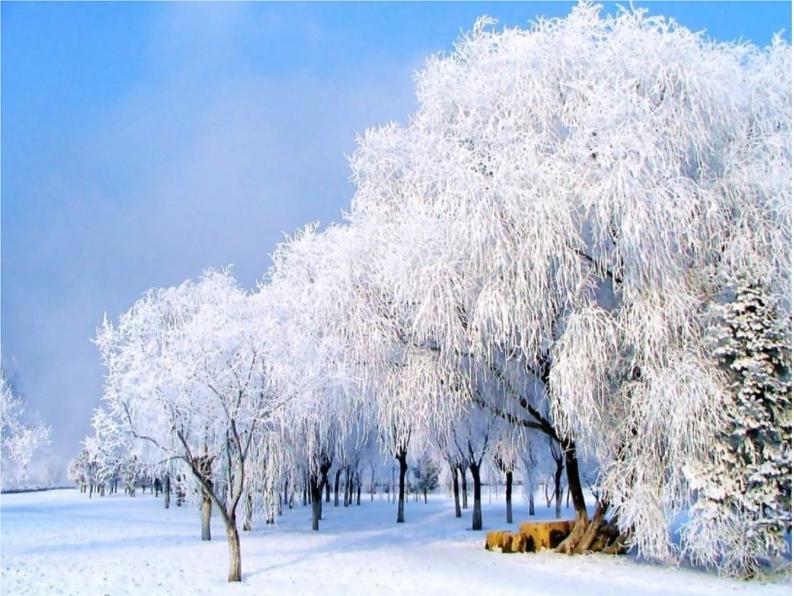 13《美丽的冬天》第2课时  课件+教案+视频素材02