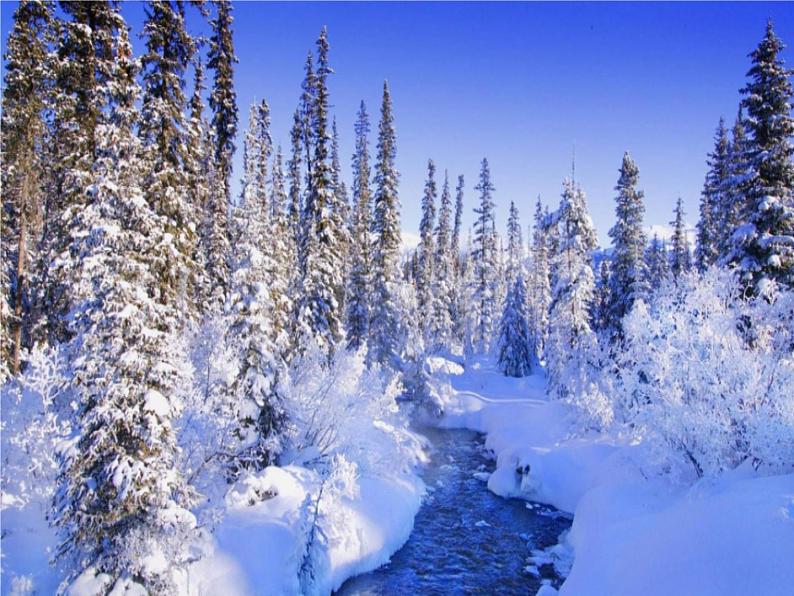 13《美丽的冬天》第2课时  课件+教案+视频素材05