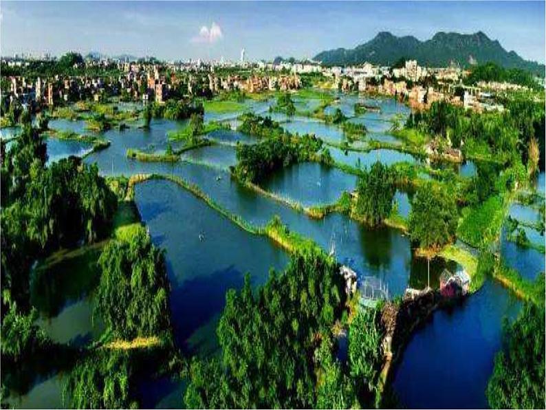 14.家乡物产养育 第2课时 课件+配套教案+视频素材02