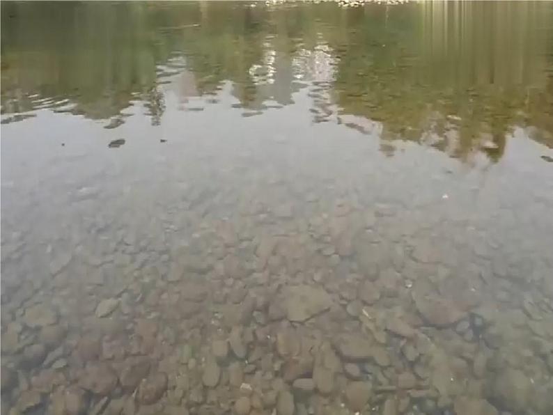 14.家乡物产养育 第2课时 课件+配套教案+视频素材04