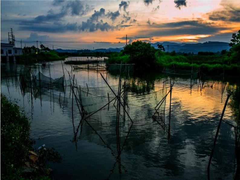 14.家乡物产养育 第2课时 课件+配套教案+视频素材06