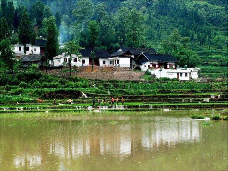 14.家乡物产养育 第2课时 课件+配套教案+视频素材08