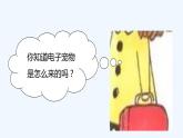 四下 8 这些东西哪里来 课件
