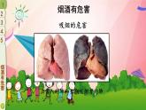 部编版道德与法治五年级上册 3 主动拒绝烟酒与毒品 课件