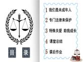 8 我们受特殊保护 课件