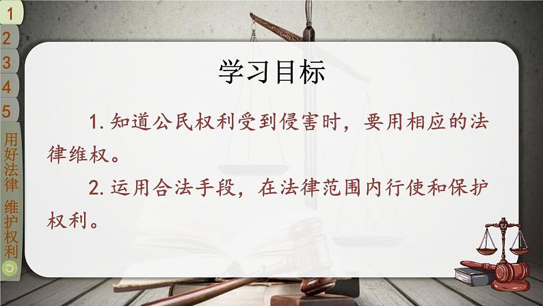 9 知法守法 依法维权 课件第4页