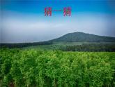 10 清新空气是个宝 课件