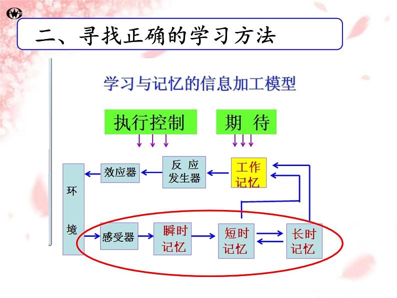 小学道德与法治二年级下册部编版 14学习有方法课件第6页