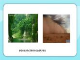 小学道德与法治二年级下册部编版 我的环保小搭档课件PPT