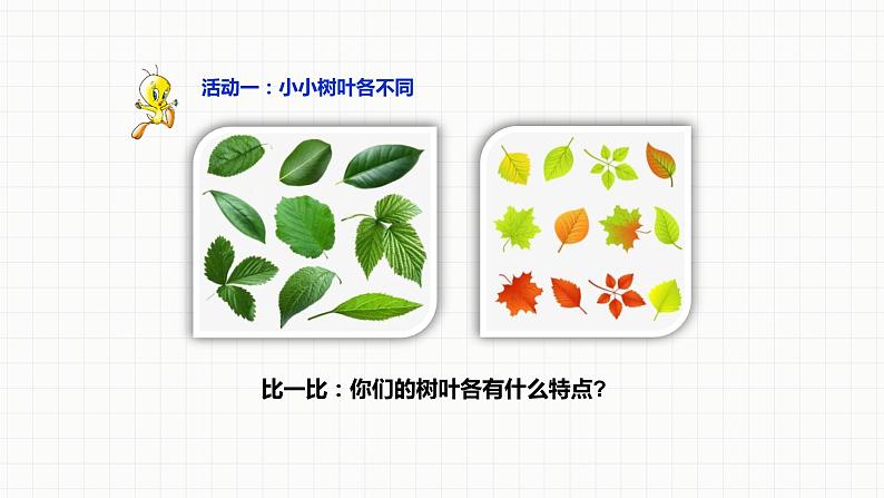 部编版道德与法治三年级下册 不一样的你我他  课件04