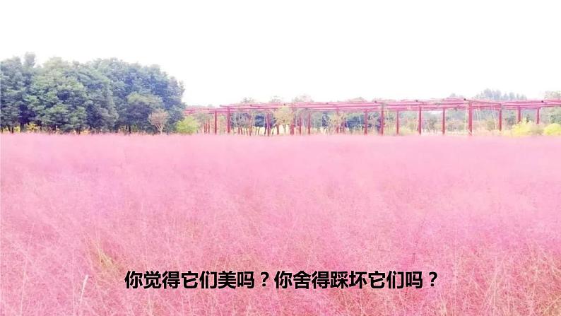 部编版道德与法治三年级下册 生活离不开规则  课件04