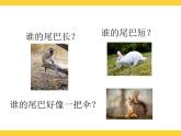 7  可爱的动物课件+素材