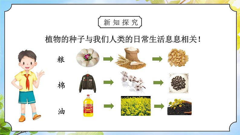 道法二下 第4课 试种一粒籽  课件第8页