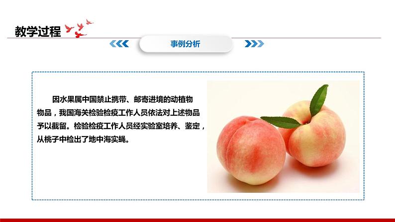 《习近平新时代中国特色社会主义思想学生读本》小学高年级第11讲国家安全是头等大事课件第3页