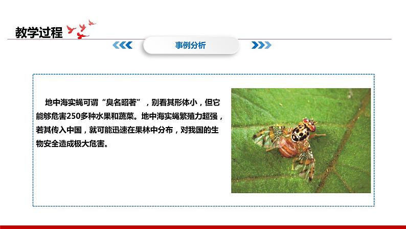 《习近平新时代中国特色社会主义思想学生读本》小学高年级第11讲国家安全是头等大事课件第4页