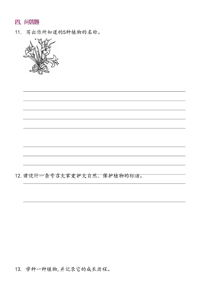 一年级下册道德与法治 6 花儿草儿真美丽 同步练习提升（含答案）03