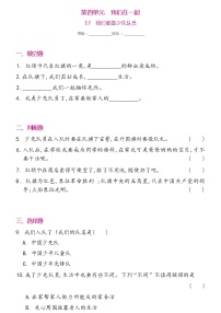 小学政治 (道德与法治)人教部编版一年级下册第四单元 我们在一起17 我们都是少先队员优秀一课一练