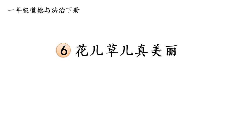 部编版一年级道德与法治下册课件--6 花儿草儿真美丽01