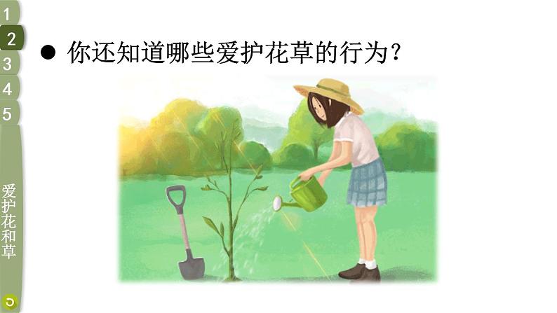 部编版一年级道德与法治下册课件--6 花儿草儿真美丽08