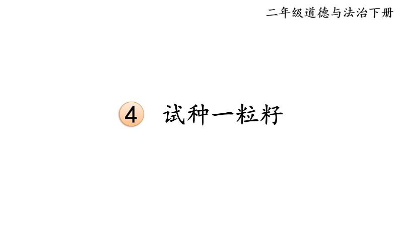 部编版二年级道德与法治下册--4 试种一粒籽（课件）第1页