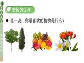 部编版二年级道德与法治下册--4 试种一粒籽（课件）