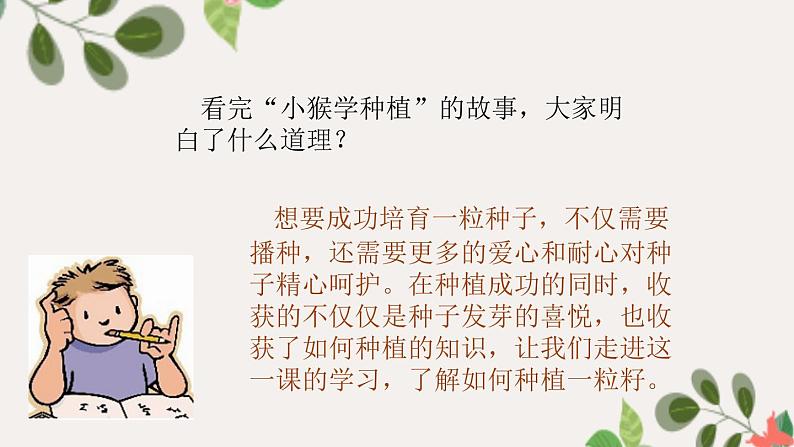 【精】4 试种一粒籽（课件）学年二年级下册道德与法治（部编版）第4页