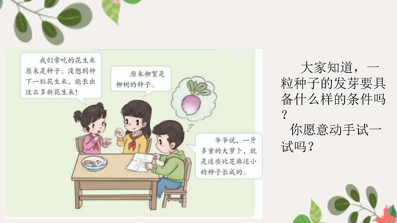 【精】4 试种一粒籽（课件）学年二年级下册道德与法治（部编版）第6页