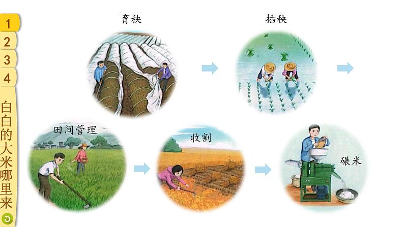 部编版四年级道德与法治下册--7 我们的衣食之源（课件）第4页