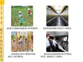 部编版四年级道德与法治下册--9 生活离不开他们（课件）