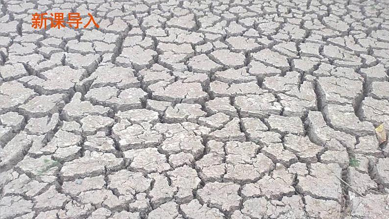 5 应对自然灾害第2页