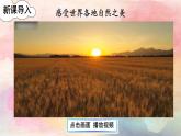部编版六年级道德与法治下册课件 3.7 多元文化 多样魅力
