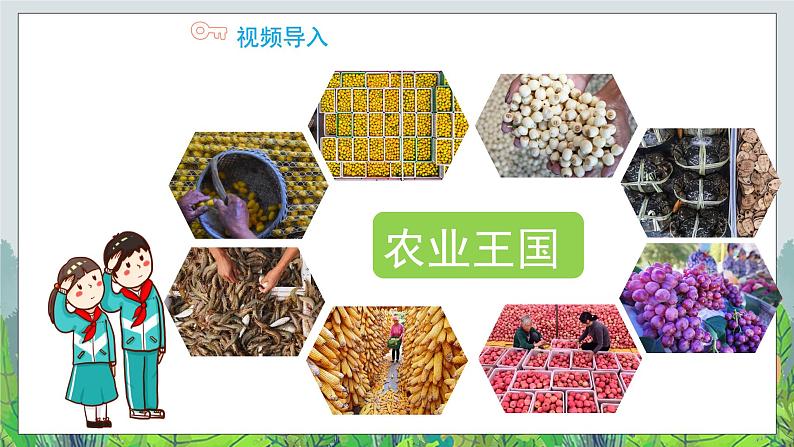 我们的衣食之源（第二课时）课件+教案04