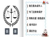8 我们受特殊保护课件PPT