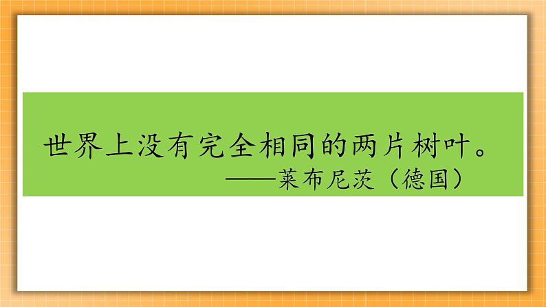 2 不一样的你我他 课件+内嵌音视频05