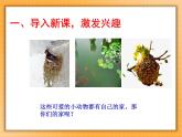 5.我的家在这里 课件