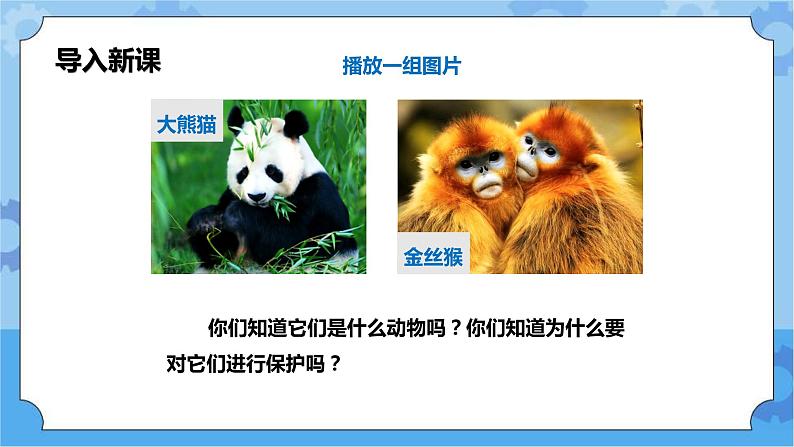 3.2  绿色深圳我行动 第二课时  课件+教案+素材02