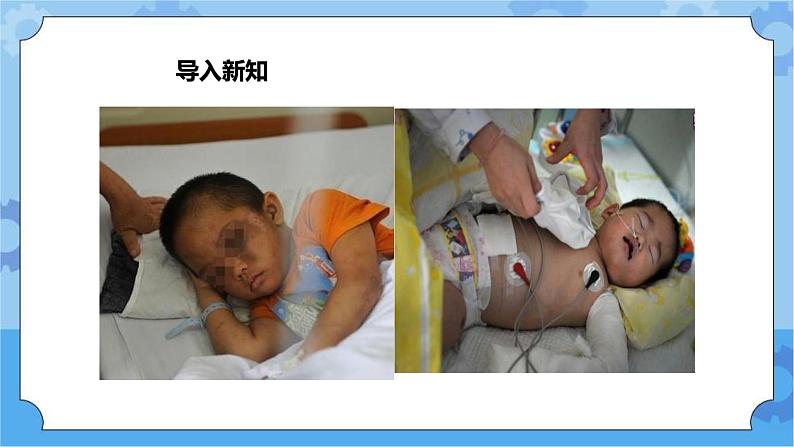 1.3《我的保护令》第一课时 课件+教案+素材05