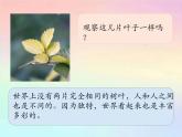 部編版道德與法治三年級下冊 2不一樣的你我他 課件
