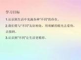 部編版道德與法治三年級下冊 2不一樣的你我他 課件