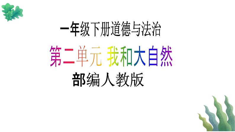 【新课标】一年级下册道德与法治第6课《花儿草儿真美丽》PPT教学课件（第二课时）+素材01