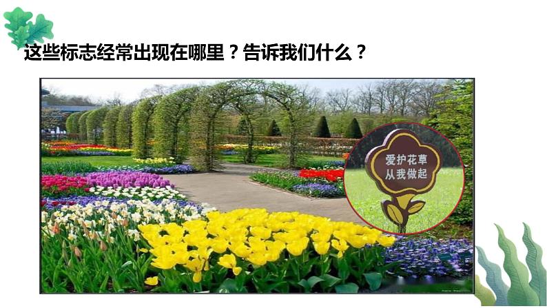【新课标】一年级下册道德与法治第6课《花儿草儿真美丽》PPT教学课件（第二课时）+素材05