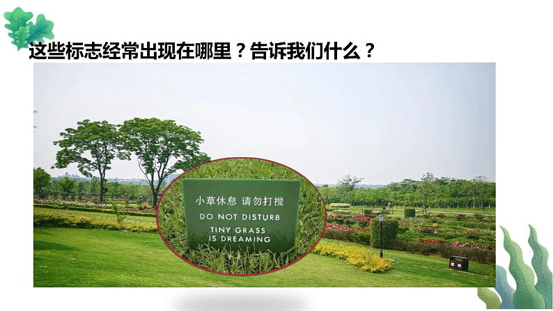 【新课标】一年级下册道德与法治第6课《花儿草儿真美丽》PPT教学课件（第二课时）+素材06