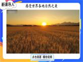 7 多元文化 多样魅力 课件+音频素材