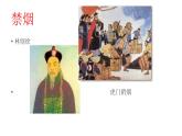 道德与法治——拒绝毒品课件PPT