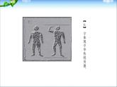 美丽文字 民族瑰宝 第一课时课件PPT