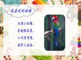 1年级下册道德与法治部编版课件 可爱的动物