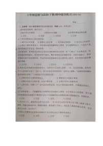 福建省龙岩市武平县2022-2023学年六年级下学期道德与法治期中随堂练习