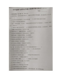 福建省龙岩市武平县2022-2023学年五年级下学期道德与法治期中随堂练习