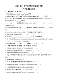 【小升初真题卷】2020-2021学年河南省济源市部编版六年级下册期末质量调研道德与法治试卷（原卷版+解析版）